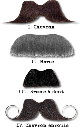 Les moustaches de Jean-Luc Chavent