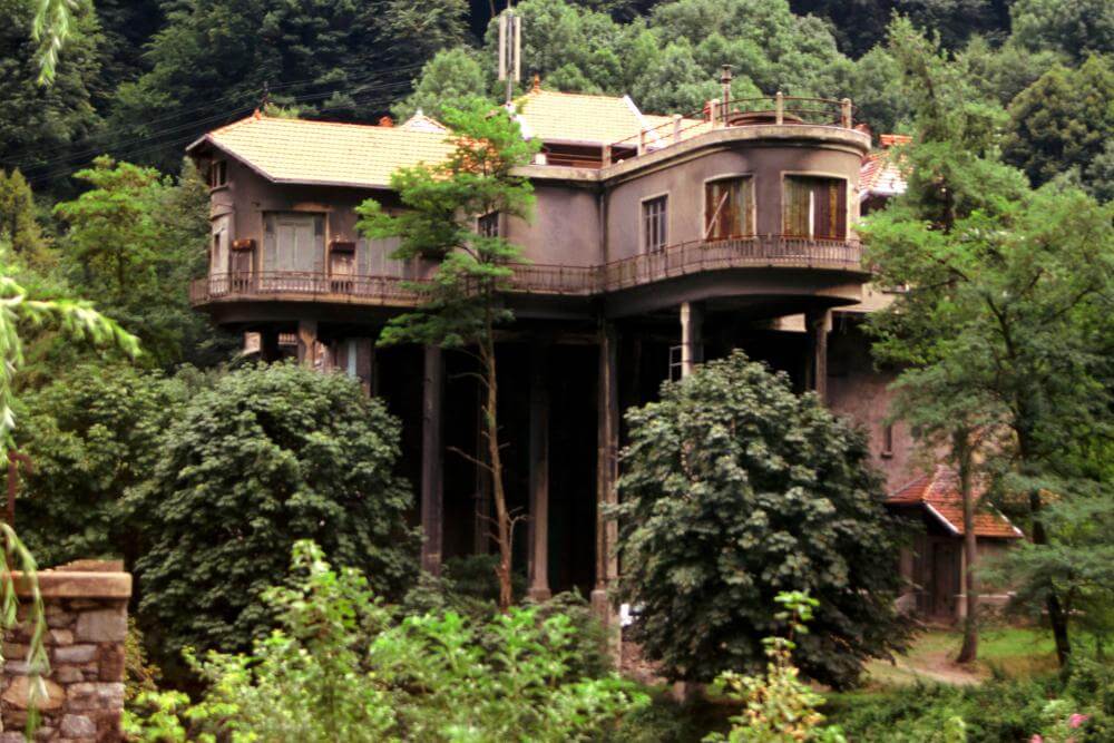 Une maison dans les arbres